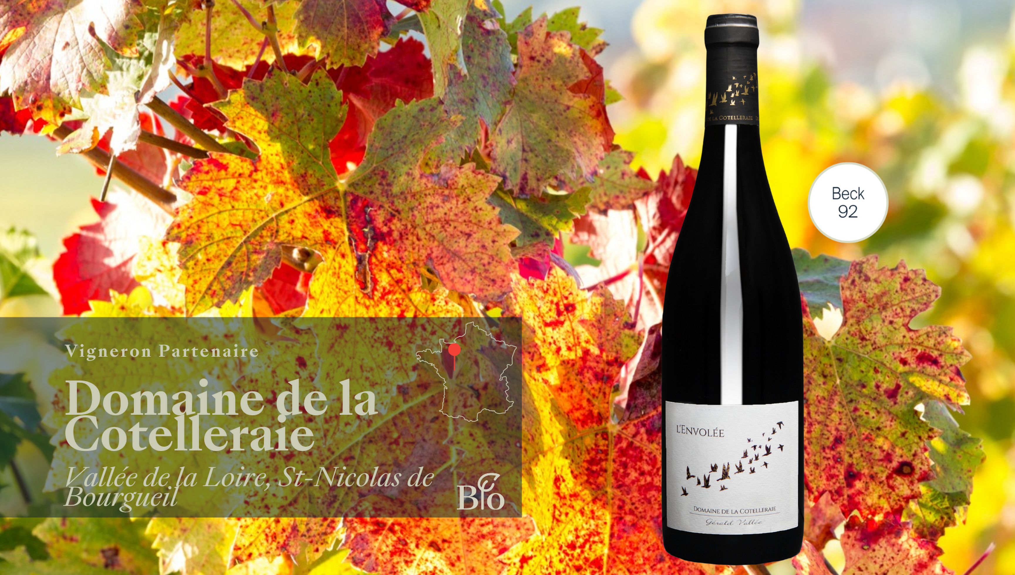 L'offre de la semaine !