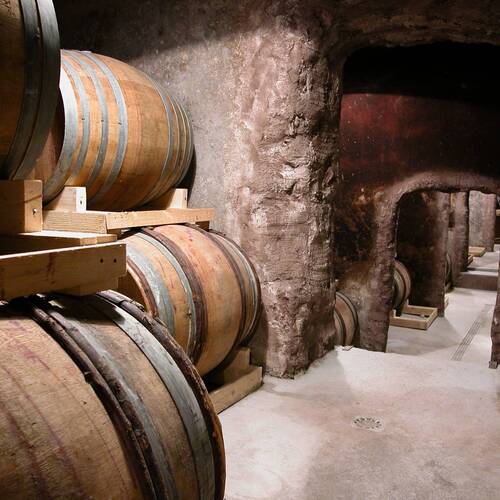 Tenuta Boncore
