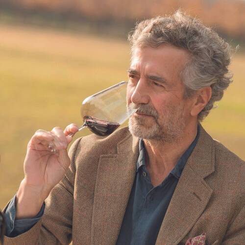 Viñedo Chadwick