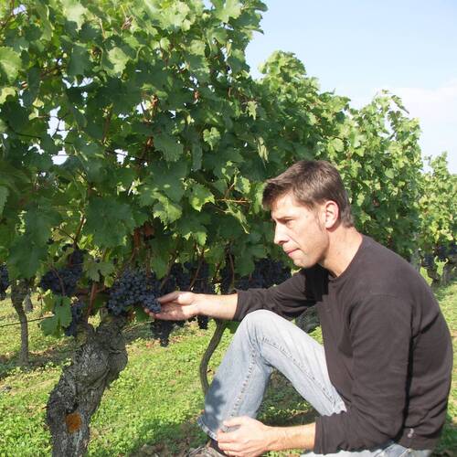 Domaine le Petit St-Vincent - D. Joseph