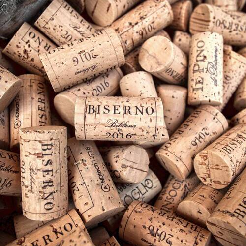 Tenuta Biserno