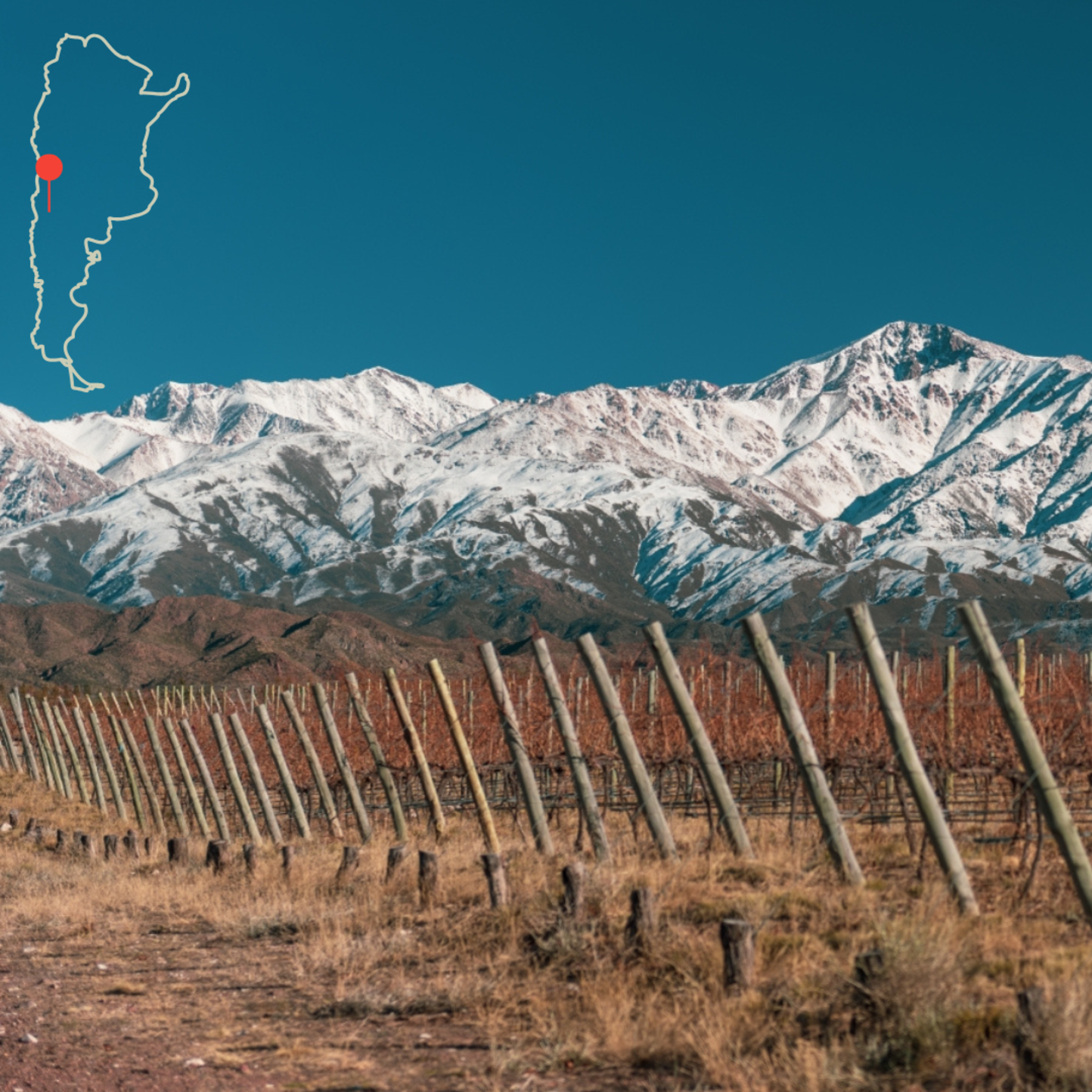 La Coste de Los Andes