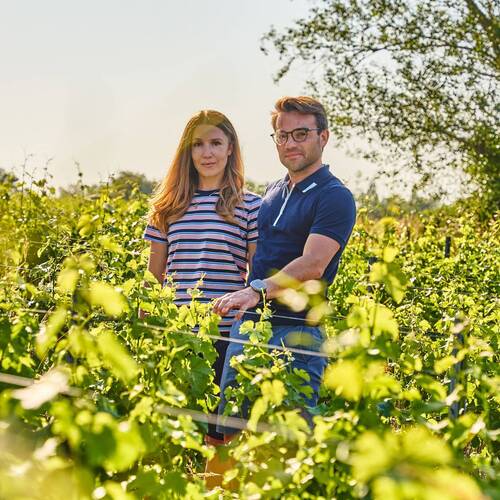 Domaine Les Ormousseaux