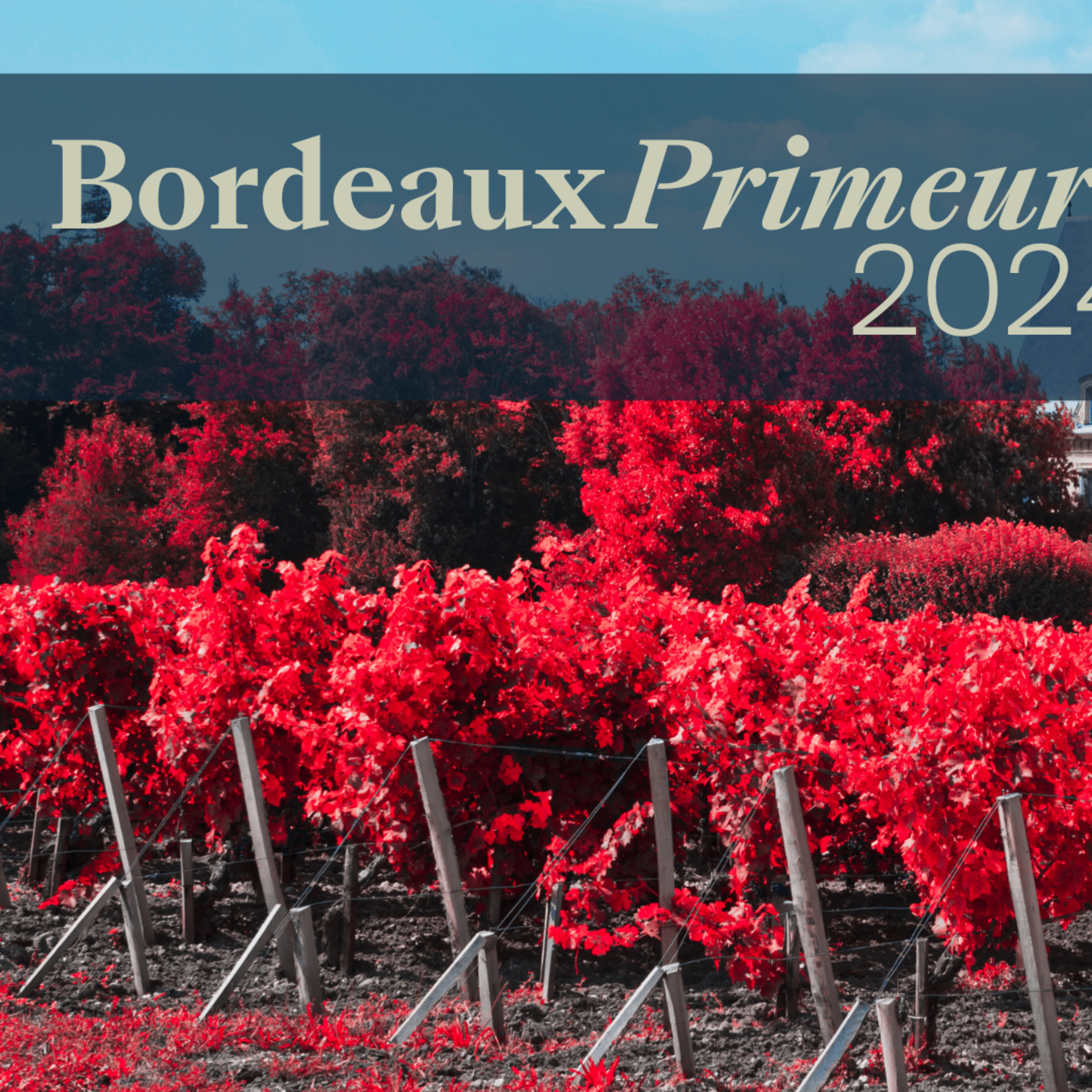 Bordeaux Primeurs 2024