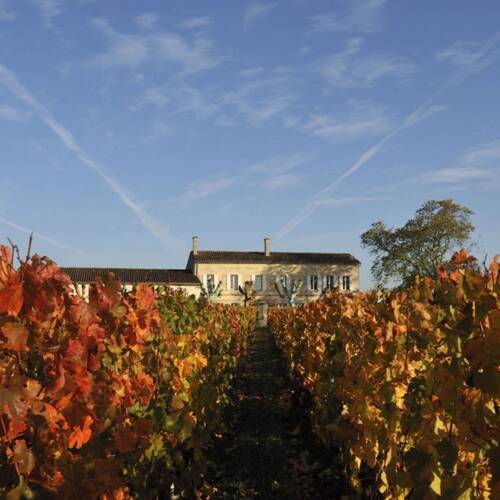 Château L'Eglise-Clinet
