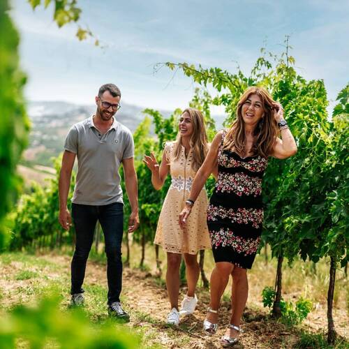 Velenosi Vini