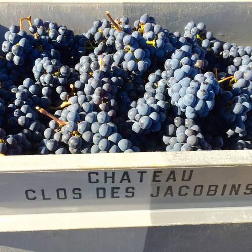 Château Clos des Jacobins