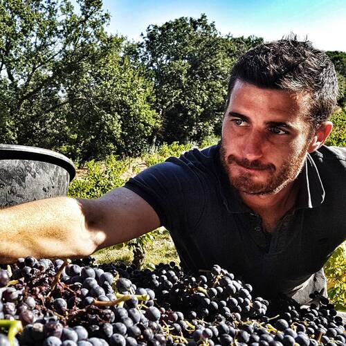 Domaine Eddie Féraud & Fils