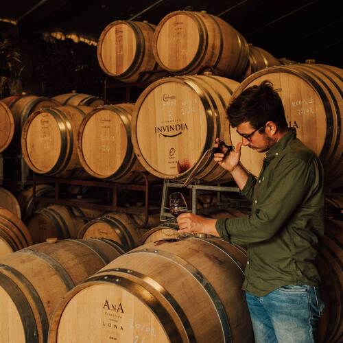 Les Vignobles Invindia