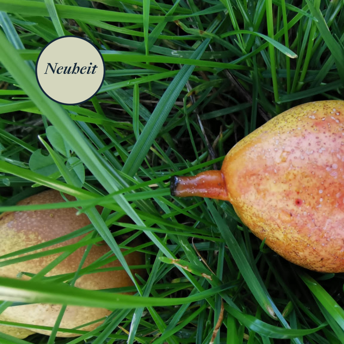 Maison Kalder : Apfel- und Birnenwein