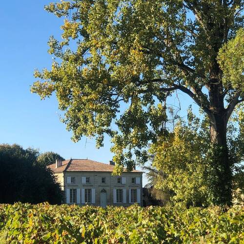 Château Moulin Haut-Laroque