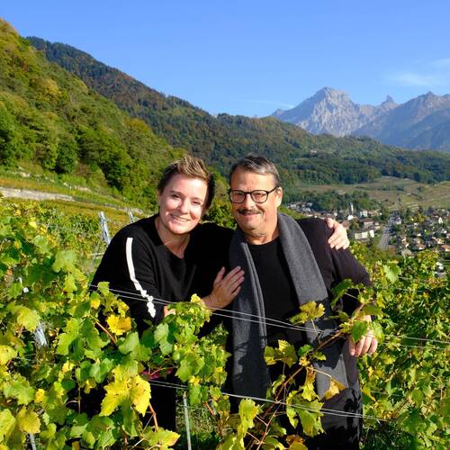 Bernard Cavé Vins