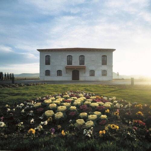 Bodegas Peñafiel