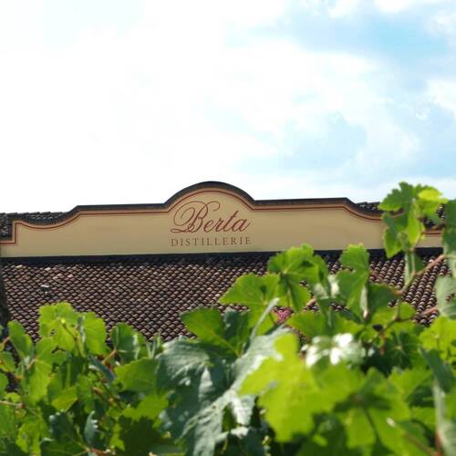 Distillerie Berta