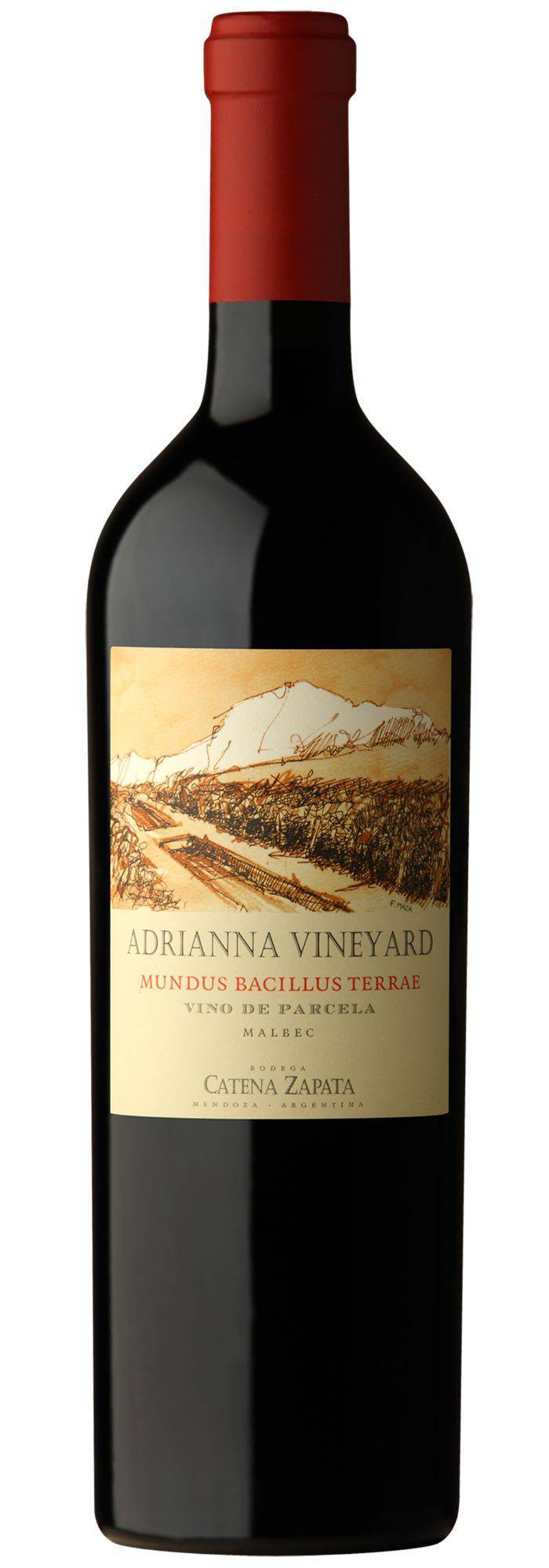 Adrianna Vineyard Mundus Bacillus Terrae
