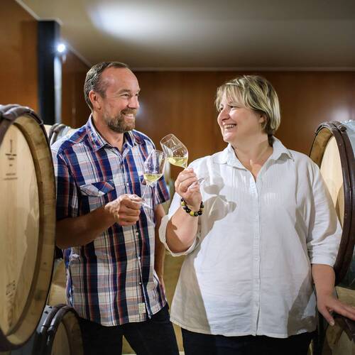 Portrait du producteur de vins du Domaine Sylvaine et Alain Normand situé dans le Mâconnais.