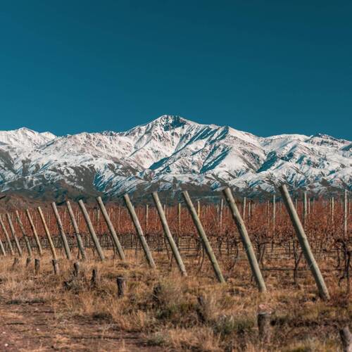 La Coste de Los Andes