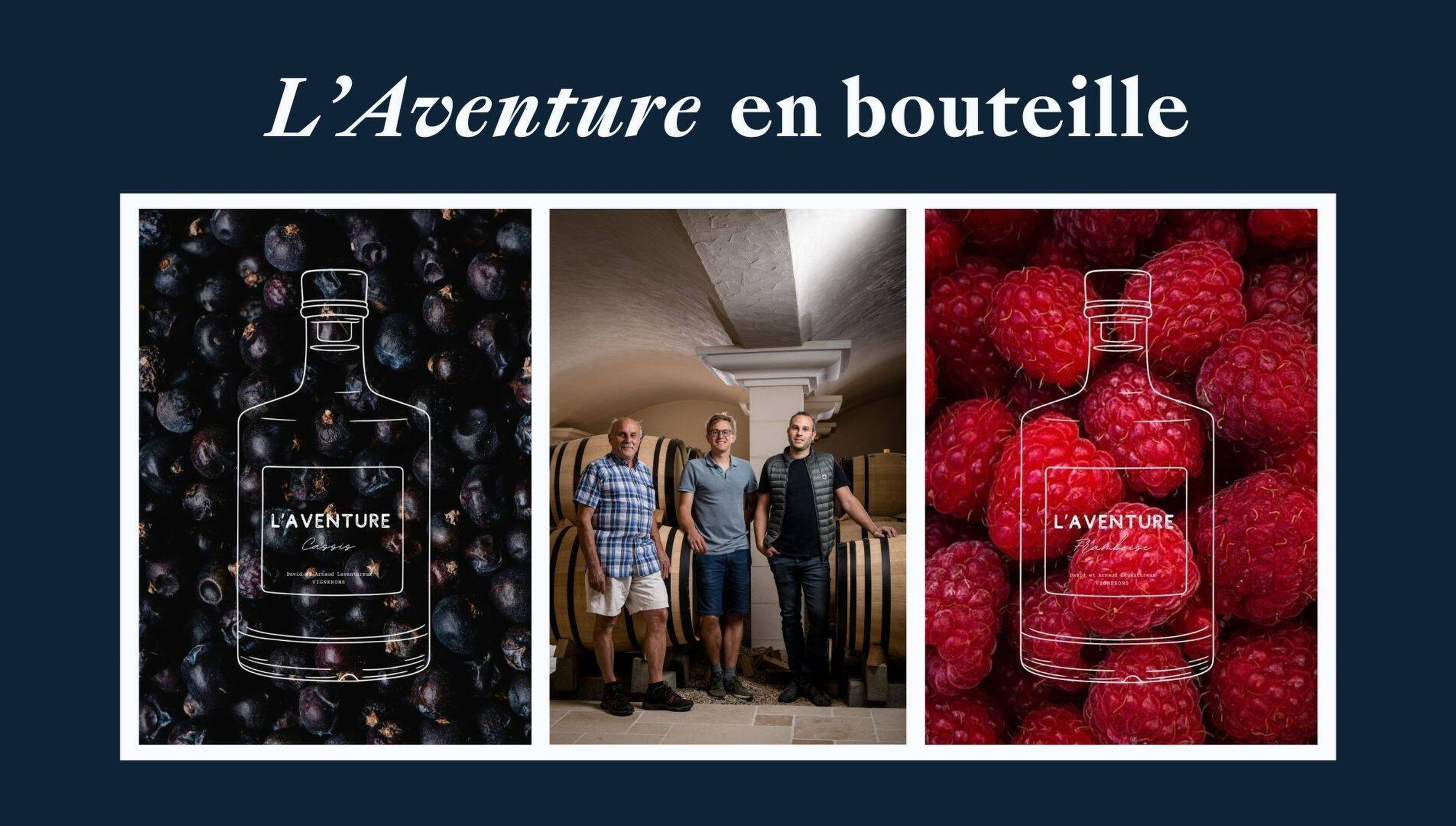 Découvrez 