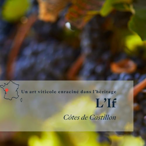 Das Angebot der Woche !