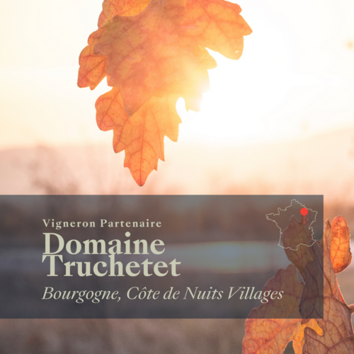 Das Angebot der Woche !