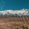 La Coste de Los Andes