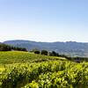 Domaine des Escaravailles
