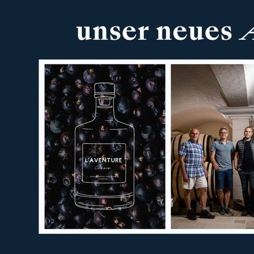 Ducasses Liebling…