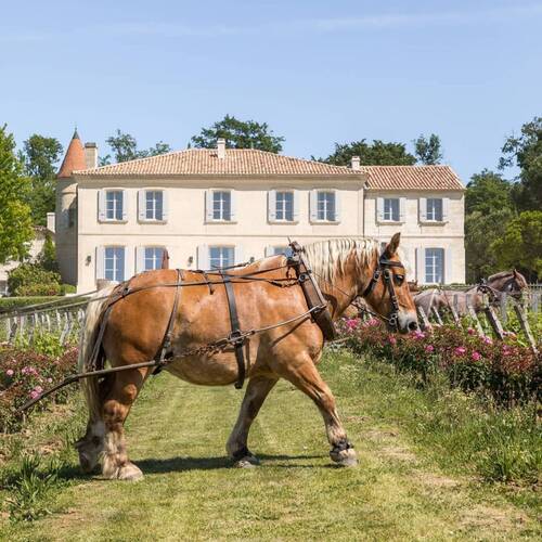 Château Troplong Mondot