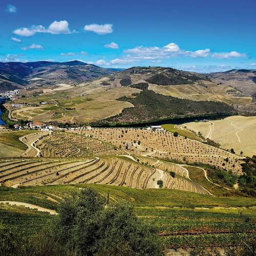 Dos Lusiadas (M. Chapoutier)