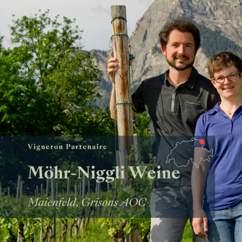 Das Angebot der Woche !