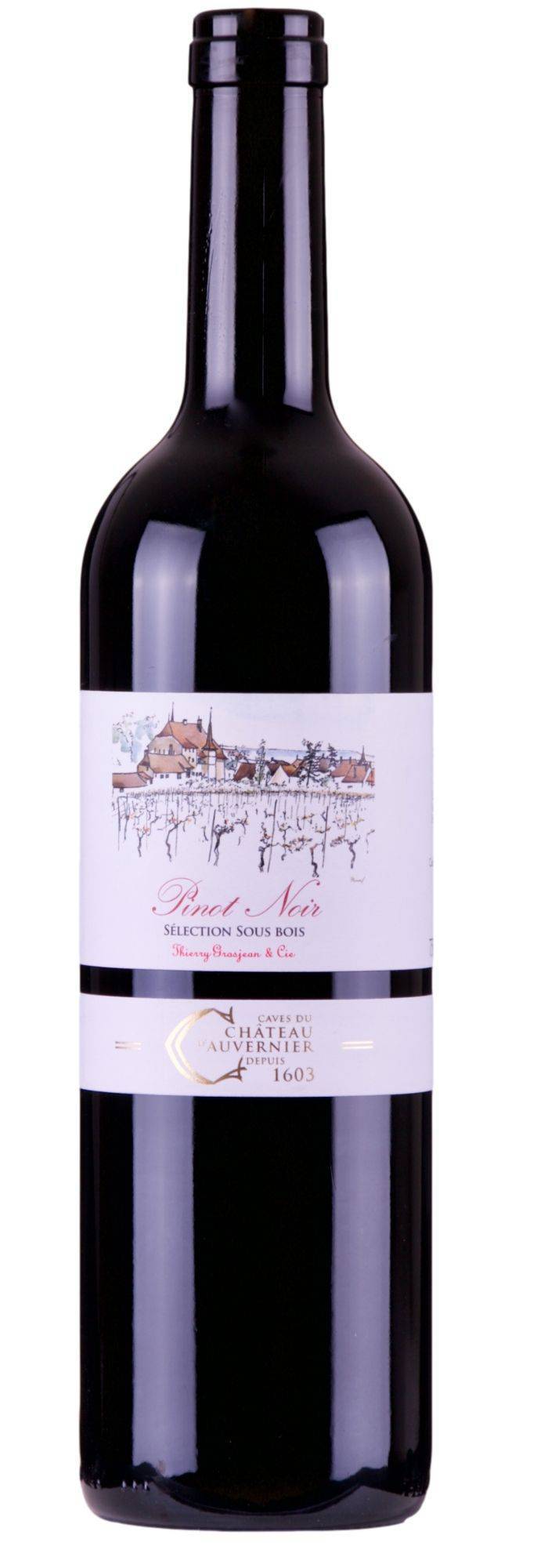 19052 Pinot Noir, sélection sous-bois