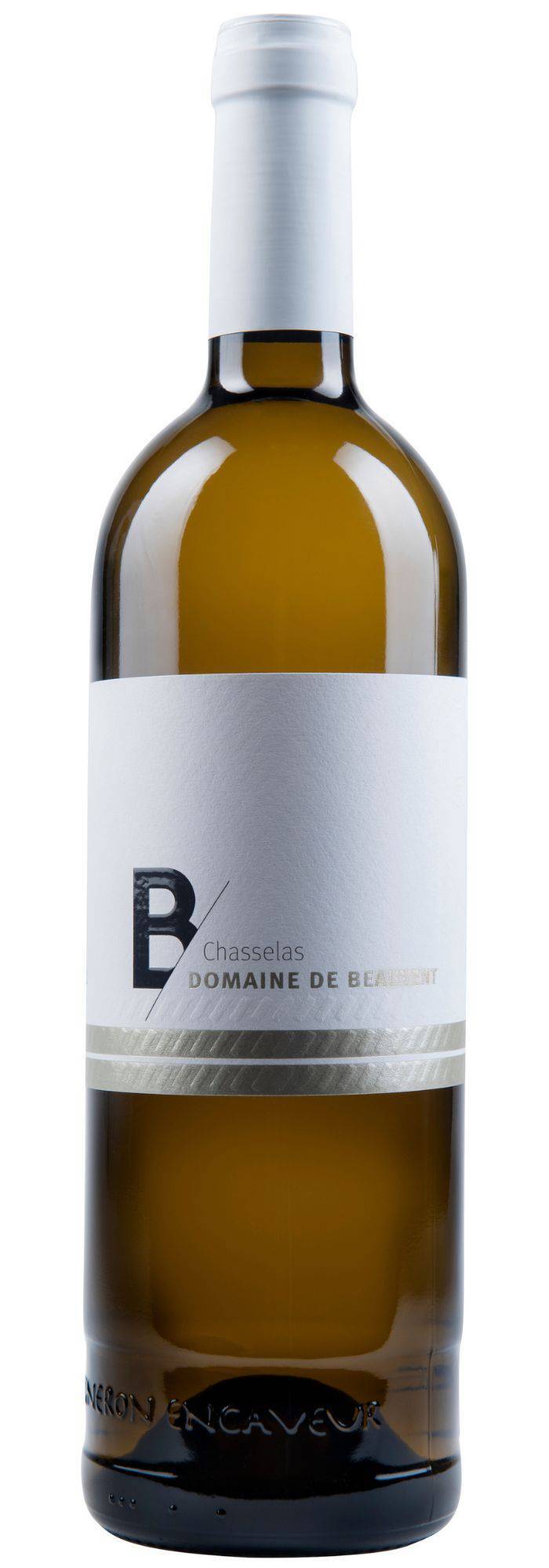 Chasselas Tradition 