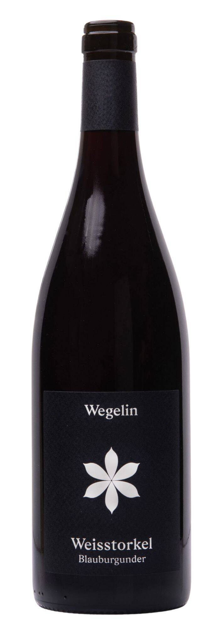 19420 Weisstorkel Blauburgunder