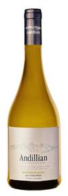 Andillian Sauvignon blanc