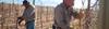 La Coste de Los Andes_3