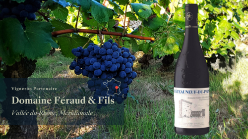 Châteauneuf-du-Pape rouge Raisins Bleus