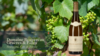 Chassagne Montrachet Blanc