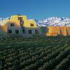 La Bodega Catena Zapata au milieu de ses vignobles, qui produit les plus grands vins argentins du monde.