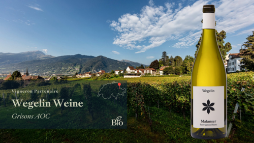 Malanser Sauvignon Blanc