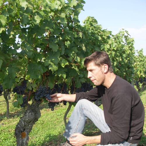 Portrait du producteur de vins Dominique Joseph pour illustrer la production du Domaine Le Petit Saint Vincent.