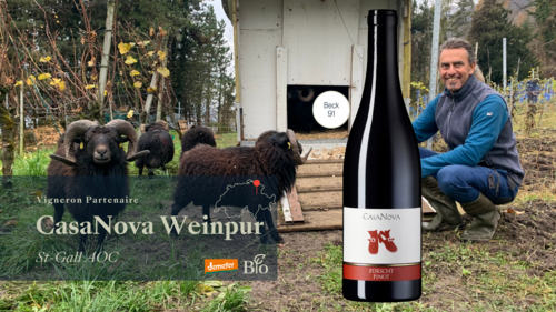 Fürscht Pinot Noir