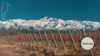 La Coste de Los Andes