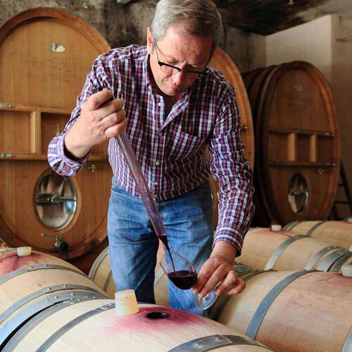 Domaine Rimauresq au coeur de la Provence, producteur de grands vins rosés bio.