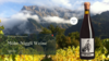 Pinot Noir Pilgrim