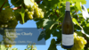 Bourgogne Tonnerre