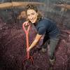 Vignoble de Pauline