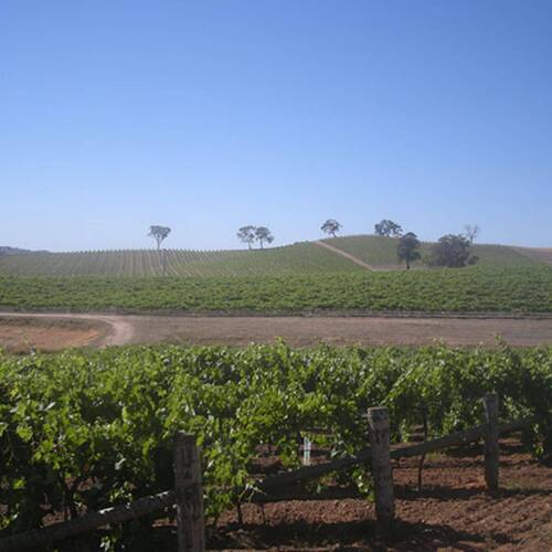 Domaine Terlato & Chapoutier