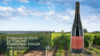 Saumur Champigny Le Petit Saint Vincent