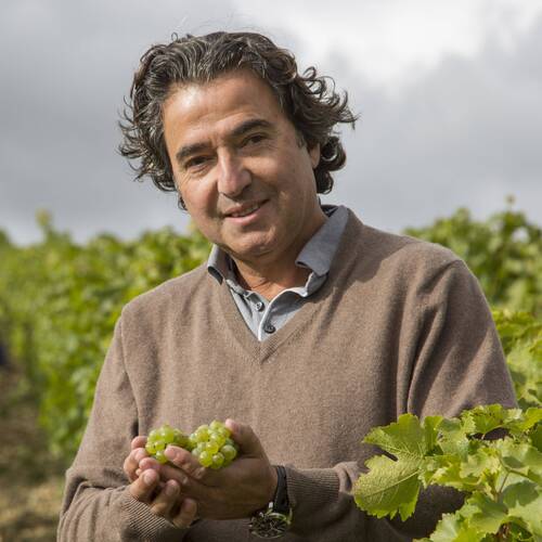 Photo de Pascal Jolivet pour illustrer la production des vins de la Vallée de la Loire.