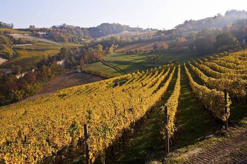 Les terres de Bocchino